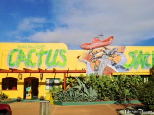 entée Cactus Jack Backpackers