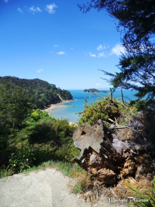 Abel Tasman treks côtiers